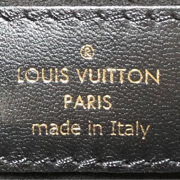 NEW Louis Vuitton Coussin PM - Picture 4 of 10